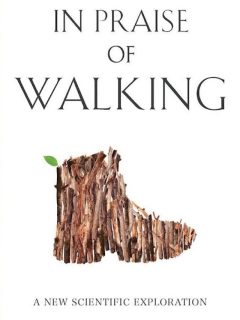 Summary: In Praise of Walking