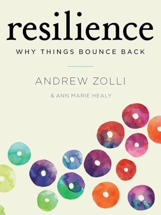Resilience: Why Things Bounce Back by Andrew Zolli